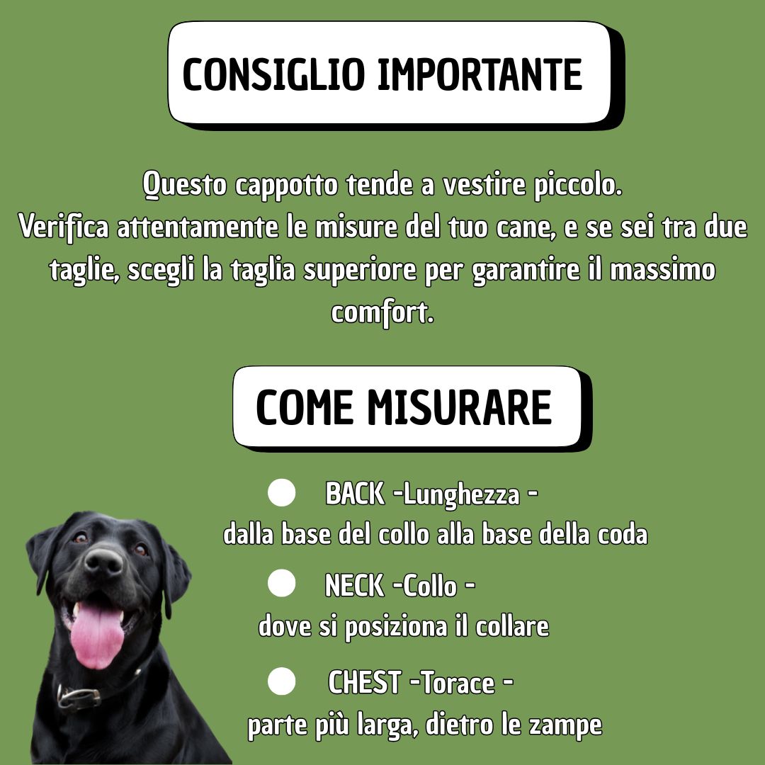 Giacca invernale impermeabile con imbracatura incorporata