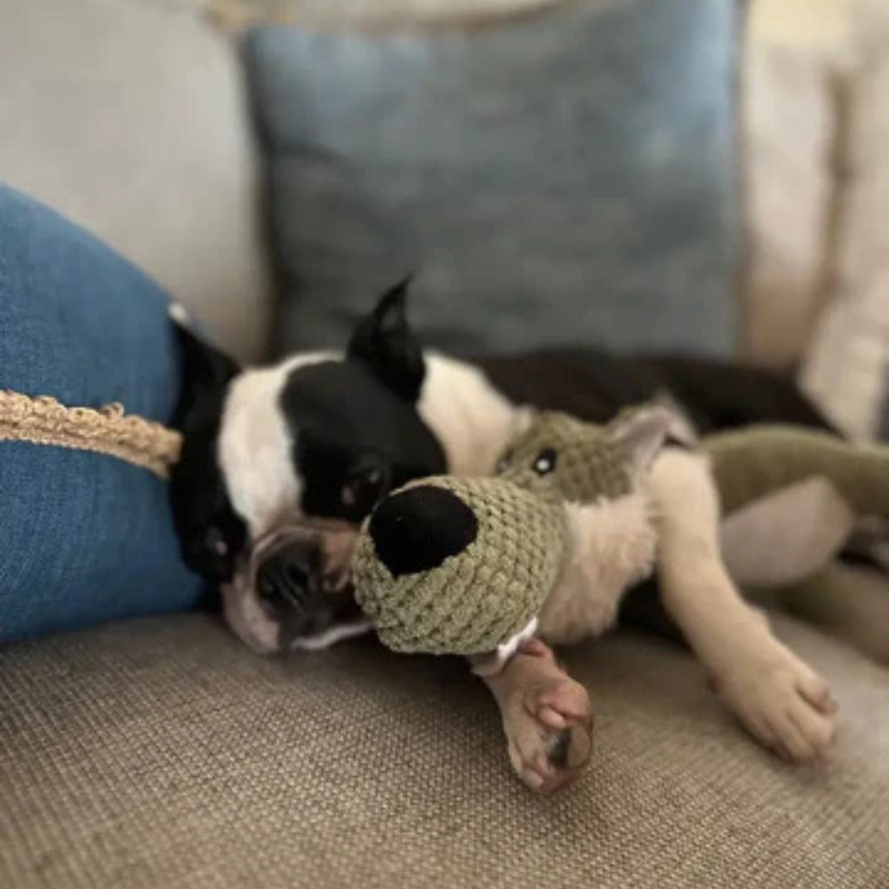 Il Pupazzo Indistruttibile